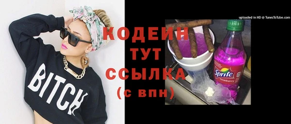 2c-b Каменка