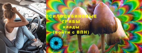 2c-b Каменка