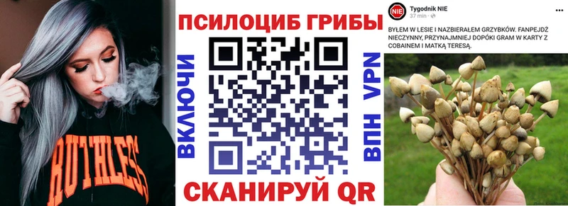 Псилоцибиновые грибы MAGIC MUSHROOMS Мостовской